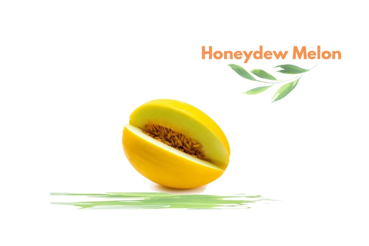 honeydew Melon